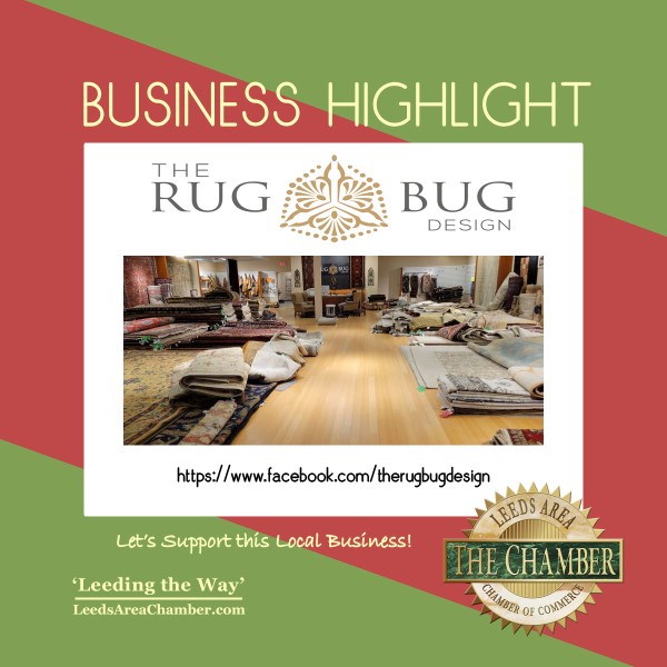 the rug bug business highlight