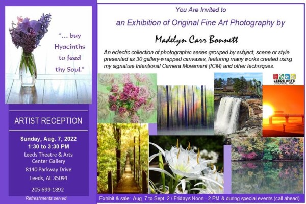 madelyn bonnett artist reception-pic of art-leeds art council-aug 7-600x400