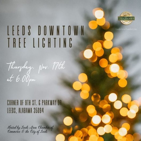 leeds downtown tree lighting nov 17 600x600