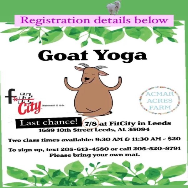 fitcity-goat-yoga-july-8.jpg-600x