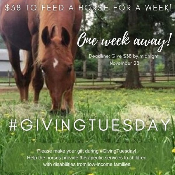 giving-tuesday-red-barn