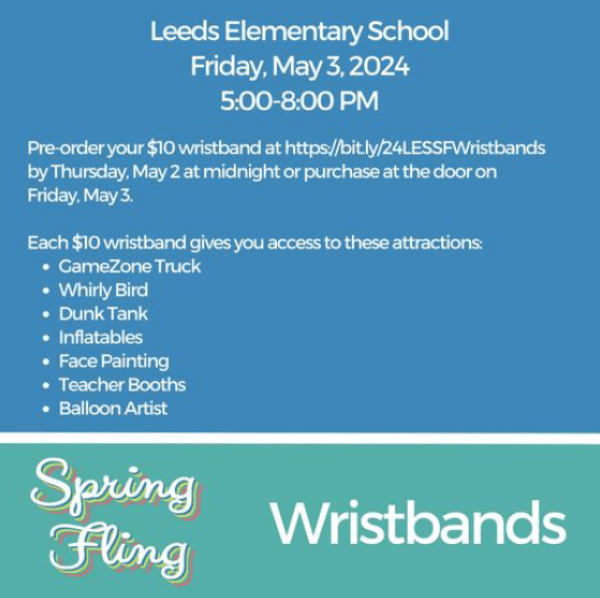 LES-pto-spring-fling-wristbands-may-3 LES-pto-spring-fling-wristbands-may-3