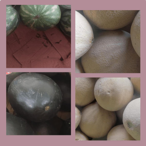 between-the-track-watermelons-cantalopes