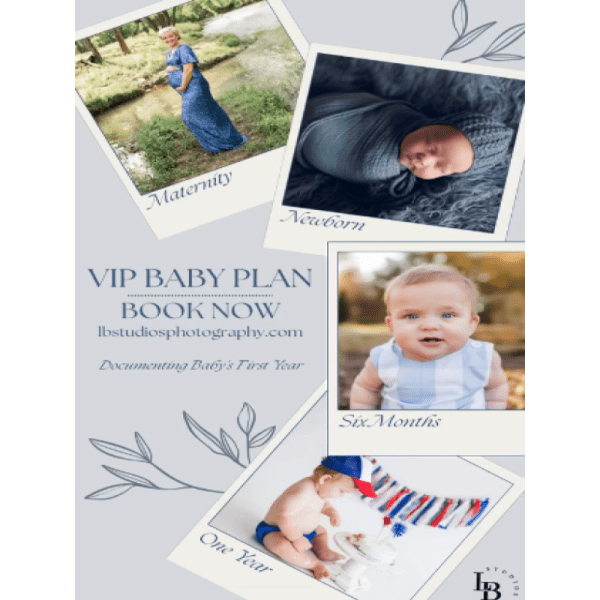 lb-studios-vip-baby-plan