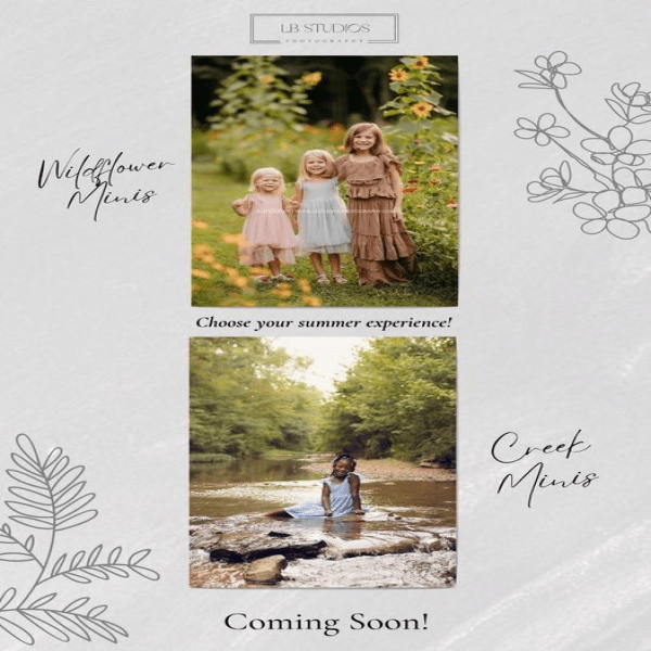 lb-studios-wildflower-minis