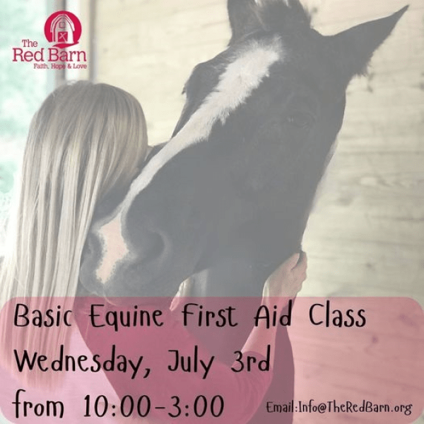 red-barn-equine-first-aid-class-july-3