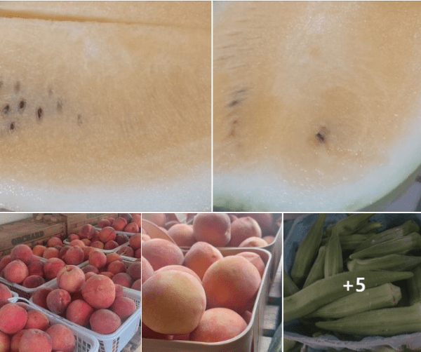between-the-tracks-yellow-watermelon-peaches-okra between-the-tracks-yellow-watermelon-peaches-okra