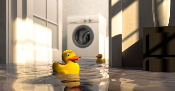 cahawba-financial-water-damage-600x313