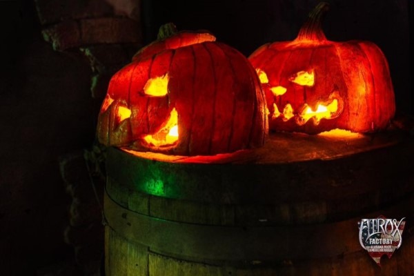 atrox-factory-pupkin-season-is-almost-over-600x atrox-factory-pupkin-season-is-almost-over-600x