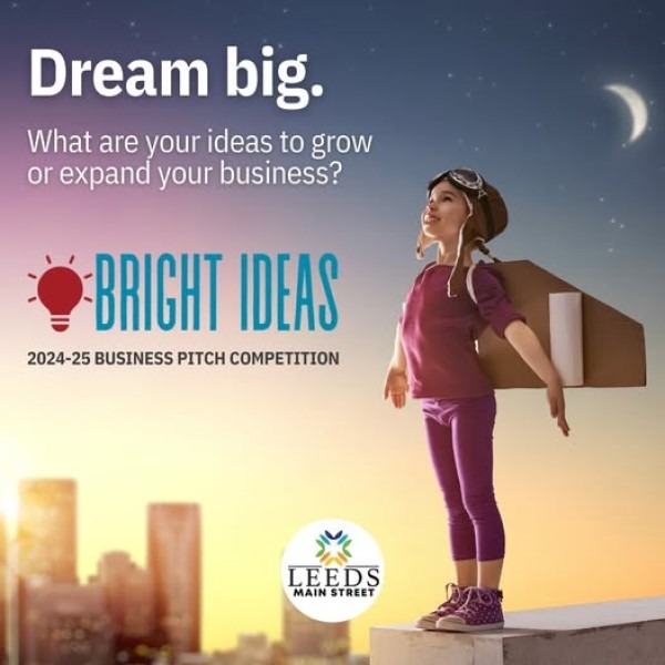 LMS-dream-big-600x