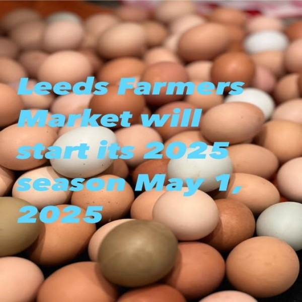 farmers-market-2025-season-eggs-600x