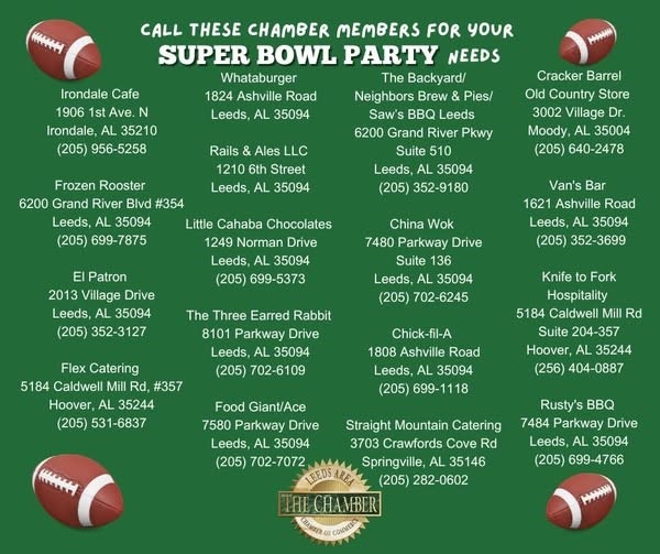 super-bowl-party-600x