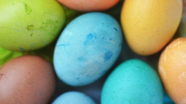 cedar-grove-easter-egg-april-16-600x