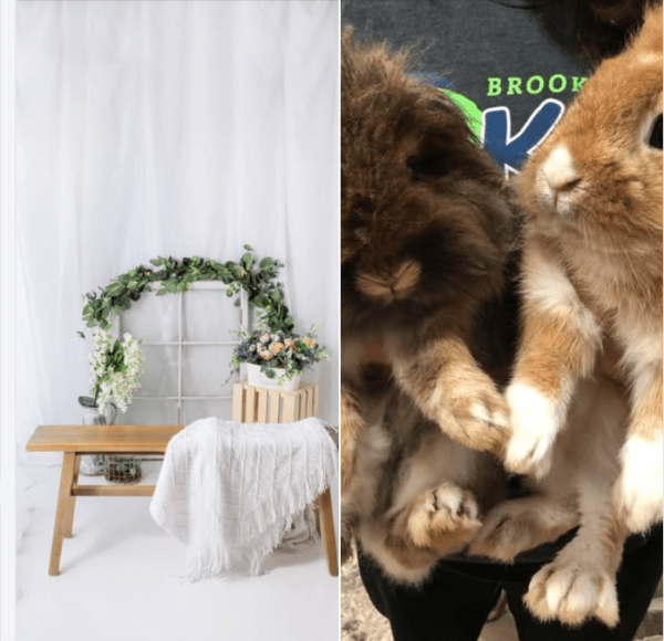 lb-studios-last-call-easter