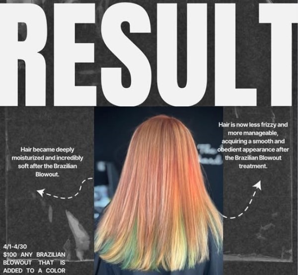 posh-salon-brazillian-600x posh-salon-brazillian-600x
