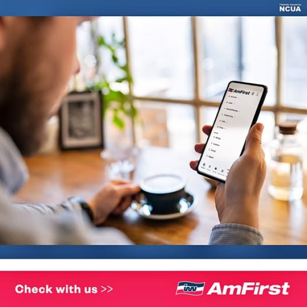 amfirst-online-checking-600x amfirst-online-checking-600x