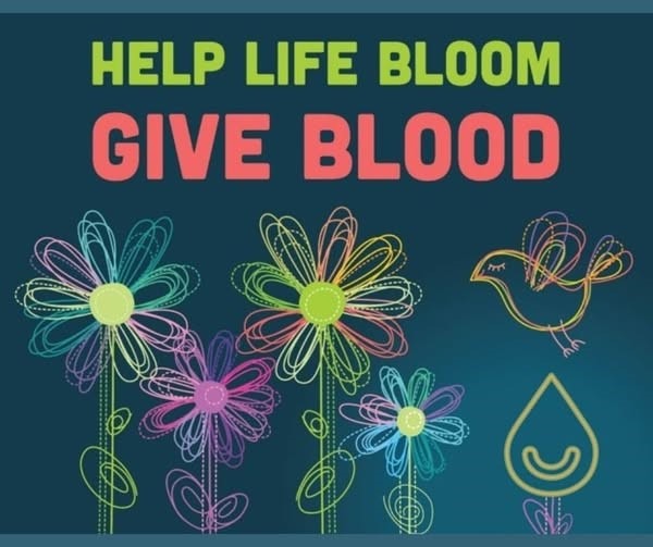 buddys-blood=drive buddys-blood=drive