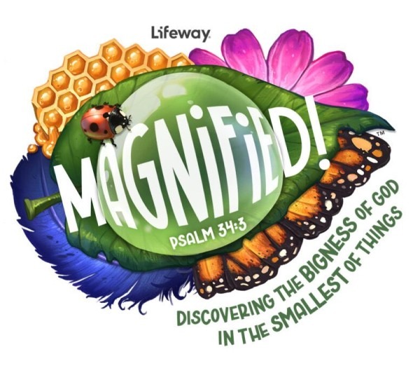 FBCL-magnified-600x525