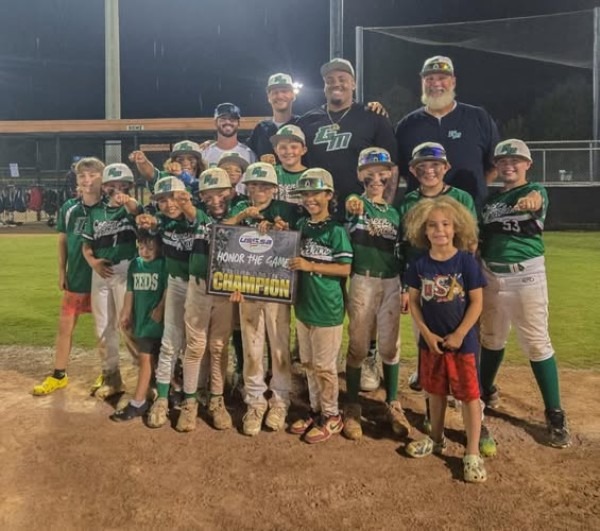 LYAA-10-U-silver-bracket-600x531