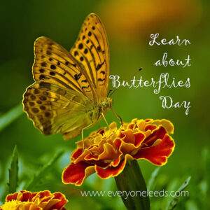 Hey Everyone Leeds, as we celebrate God's handiwork today with the awesome sunshine, did you know that it's Learn About Butterflies Day?